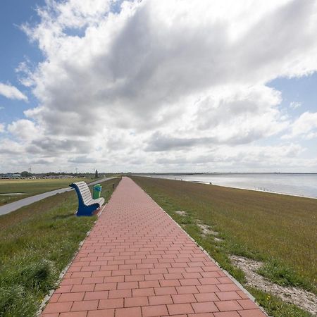 Direkt Am Deich - Ferienwohnung Amrum Im Gaestehaus Am Badedeich Dagebüll Buitenkant foto